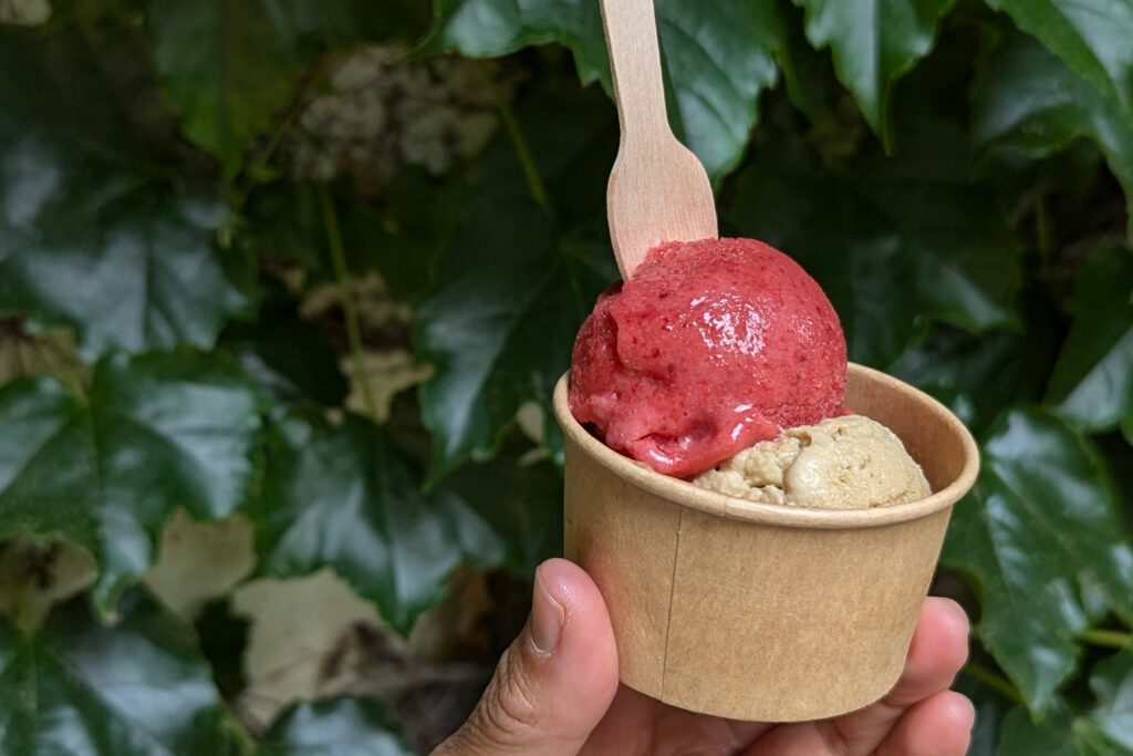 Gelato